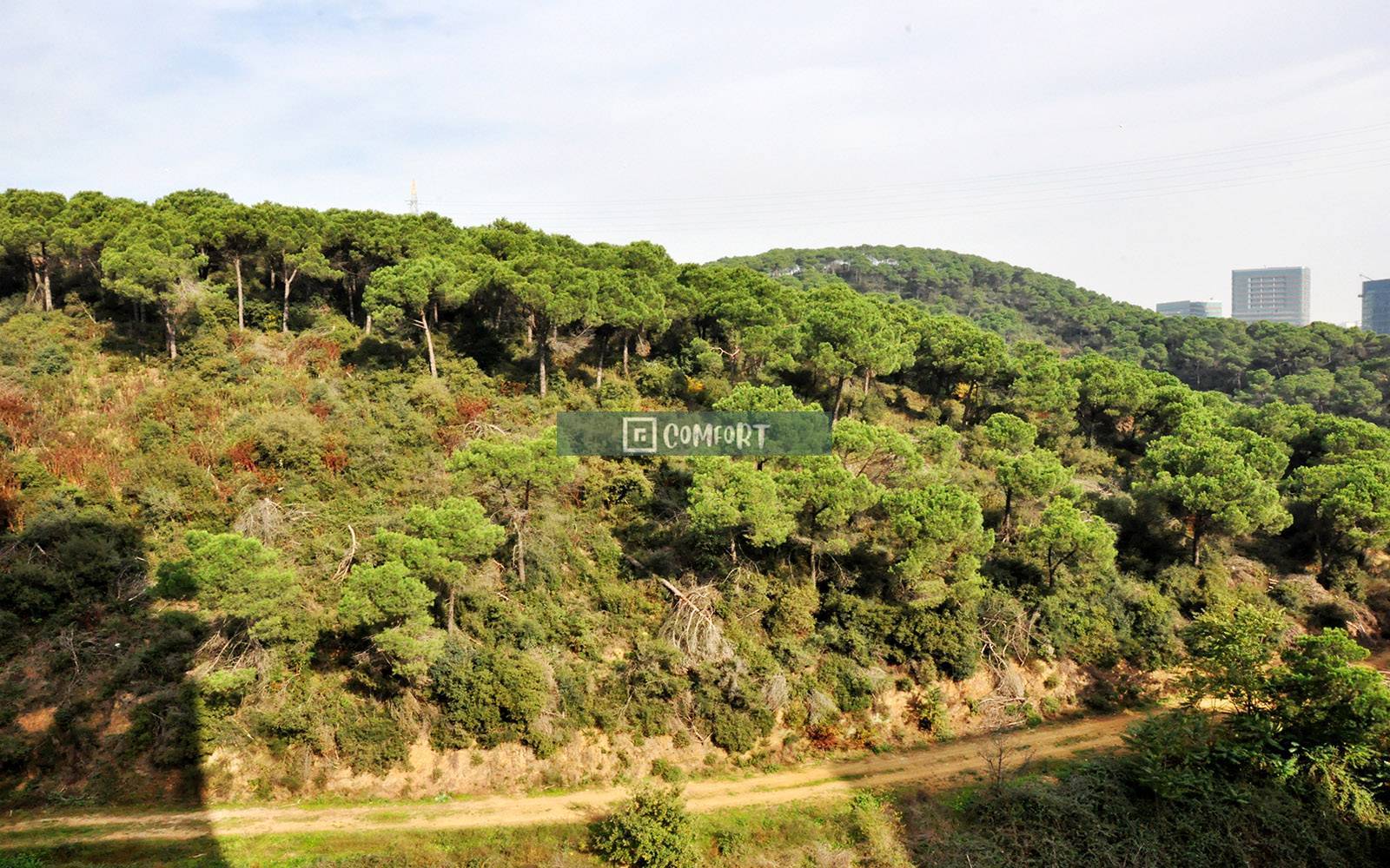 2 + 1 Apartment with Forest View for Sale