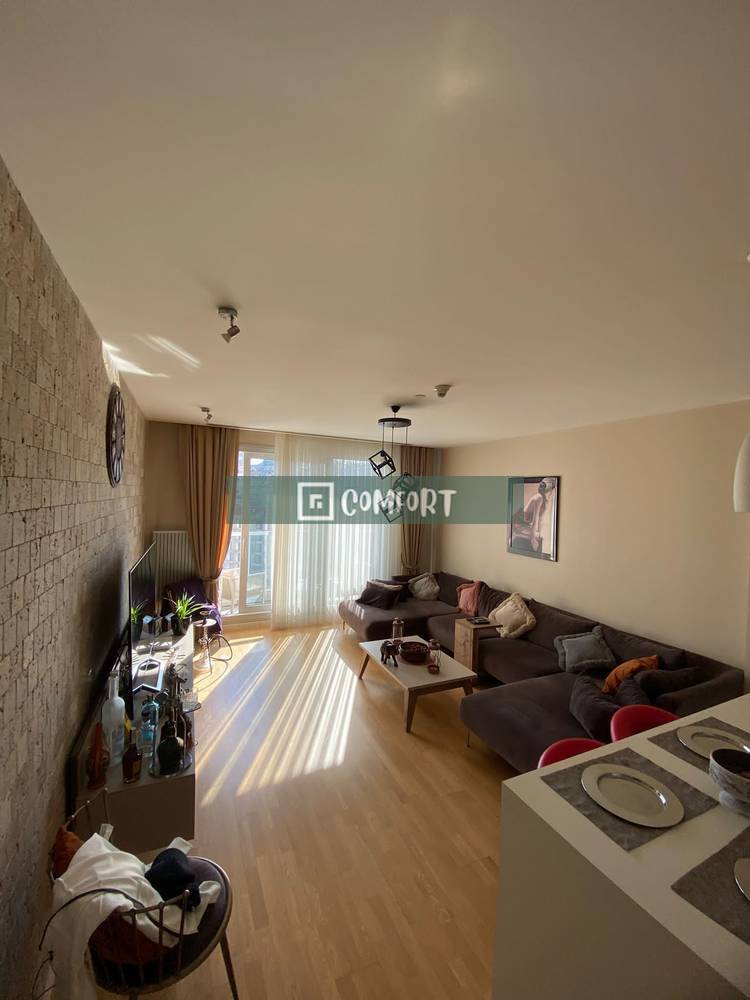 Anthill Rental 1+1 Opportunity