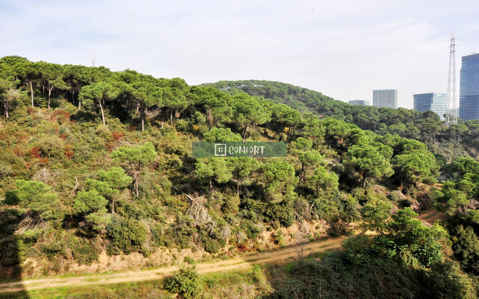 Forest view 3 + 1 For Sale Corner Apartment